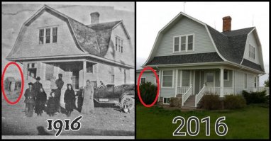 толчок обновили