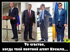 Сексуальные чулки, носки поверх брюк и другие конфузы влиятельных мира сего