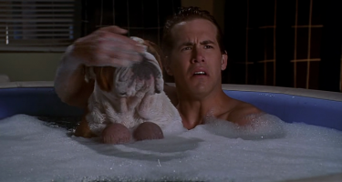 Баран мне кого то напомнил...