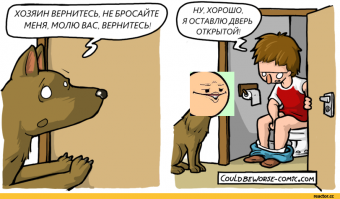 У нас собака с ума сходит, когда мы домой с работы приходим, а на больший срок аж страшно представить, что будет :-)