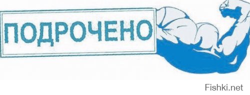 15 реально симпатичных женщин-бодибилдеров