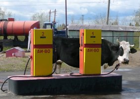 кого только не заправляют!