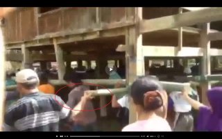 Переезд на новое место жительства по-филиппински