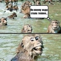 Ребята, вы спалились! 