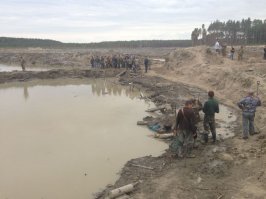 Негры, хоть на помойке, есть народы и пострашнее...
Вот, что будет если отдать управление украинцам:
