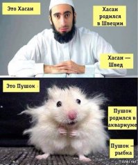 Бордели немецкой армии во Вторую Мировую  
