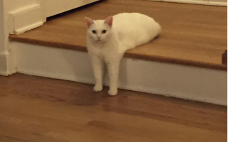 кто нибудь,переделайте его в морского!не умею!:)