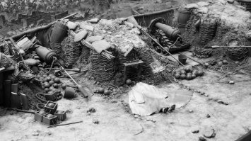 От меня фото тоже :)