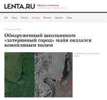 Чего вы тут радуетесь то? Это поле конопли оказалось...