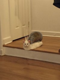 еще