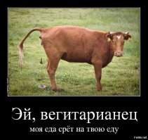 Что скрывается за кожей: PETA шокировала покупателей поддельными кожаными аксессуарами