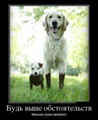 Клиренс имеет значение