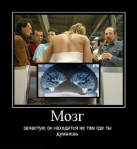 8 самых популярных мифов о мозге и их разоблачение