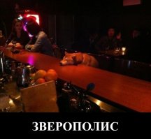 Очень заразительный пост, вы не сможете сдержаться 