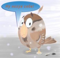 Чем закончилось тотальное уничтожение воробьев в Китае