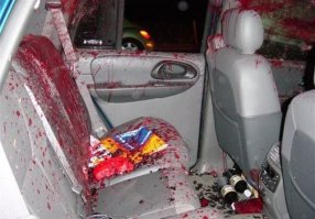 Вид перед мойкой?