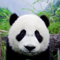 Разочарование 3.0: наряды из интернет-магазинов в реальности