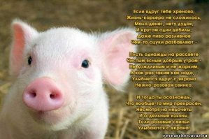 Очень заразительный пост, вы не сможете сдержаться 