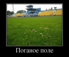 Ужгород. ФК "Говерла" - удобряли хорошо.