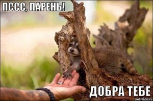 Очень заразительный пост, вы не сможете сдержаться 