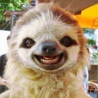 Очень заразительный пост, вы не сможете сдержаться 