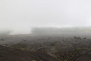 Был там года 3-4 назад, там на лошадке совсем немного подвозят, особенно ленивых, метров 100, на сам вулкан идет вполне себе цивильная лестница. А до площадки на мотобайках подвозят. Но окрестности, особенно в пасмурную погоду очень впечатляют - прямо таки мордер какой-то. Ну и с прогулочной площадки в жерло глянуть тоже прикольно (естественно не в извергающееся :) )