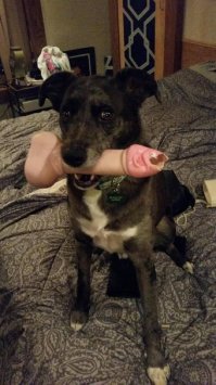 Гвинет Пэлтроу продает любимые секс-игрушки