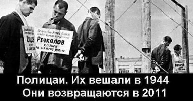 Вешать, ВЕШАТЬ СУЧАР!!! Чтобы семя своё иудушное не распространяли, дыханием своим зловонным атмосферу не засоряли!