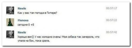 Смешные комментарии и высказывания из социальных сетей