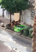 Рядом с вонючими мусорными контейнерами.
Романтика, б...!