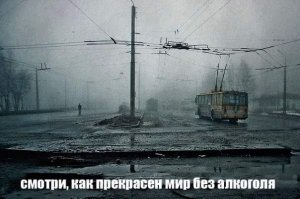 Синька в чистом виде конечно зло, но надо понимать, что до смерти или болезней можно довести организм любым продуктом, если его употреблять в немеряных количествах... Вот для души выпить, да в хорошей компании- самое то. Опять же радионуклиды из организма выгнать...