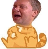 Вышел такой порешать