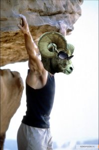 20 горных козлов, которые игнорируют гравитацию