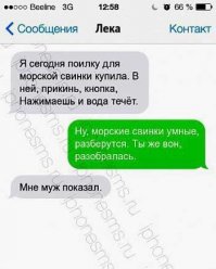Смешные комментарии из соцсетей и не только 