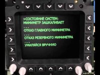 Лисята, которые не забывают навещать бабушку