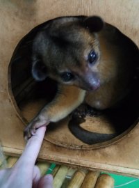 мое чудо=)