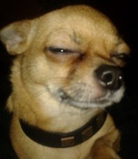 А кого забрали? Брата или этих гопников? Что-то ты темнишь....