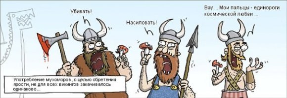 Викинг-собутыльник