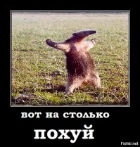 Женщина-депутат провалилась под землю во время раговора c избирателями