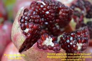Израильские гранаты. Кто пробовал сок тот поймёт.