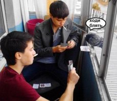 а голубя-то за что в подборку? вполне адекватная птичка :)