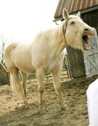 Чудики из социальных сетей часть 3