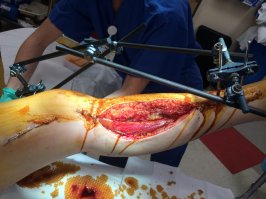 Как вы надоели со своей МИЛОТОЙ в инете!!! Заведите себе свой сайт и постите там своих котят до посинения!!! Вот вам ответ на ваш милотный фетиш!!!