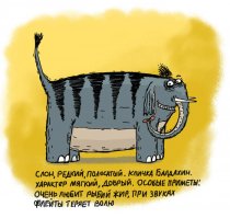 Ну наконец-то совпало!
