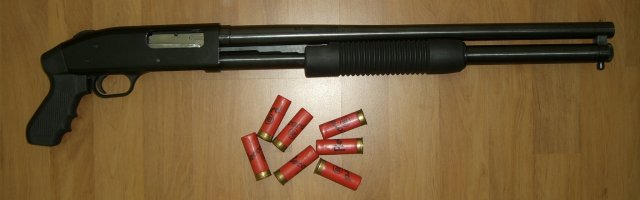 Не с тем они пошли на такого кабанчика.
Этого бы хватило пары выстрелов