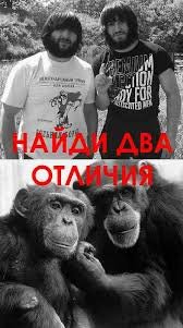 Про спорт и про людей