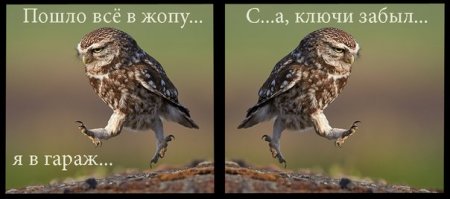 Прикольные картинки, комментарии и смс №2