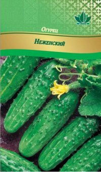 как правильно?