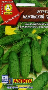 как правильно?