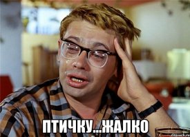 Хитрая косатка ловит птиц на приманку